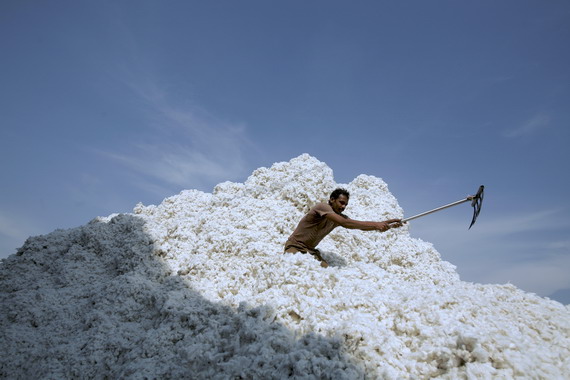 进口印度棉花